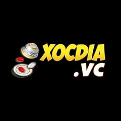 xocdia vc's profile picture