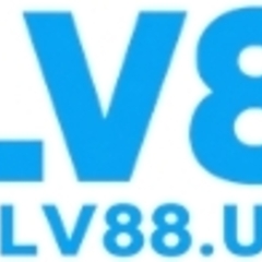 Blv88 us's profile picture