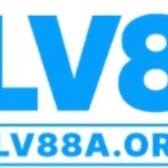 Blv88a  org's profile picture