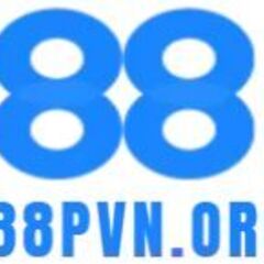 888Pvn org's profile picture