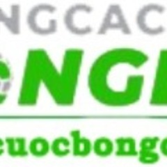 Trangcacuocbongda  design's profile picture