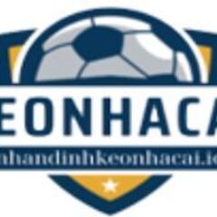 Nhandinhkeonhacai  io's profile picture