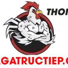 DA GA  TRUC TIEP CX's profile picture