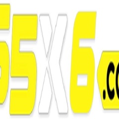 65x bet's profile picture