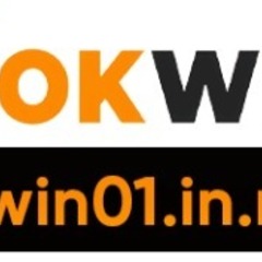 Okwin01 innet's profile picture