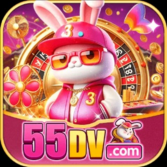 55dv org's profile picture