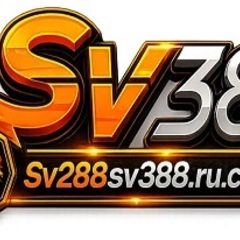 SV3 88's profile picture