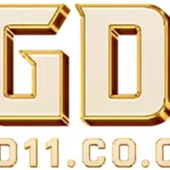 BGD11 Official's profile picture