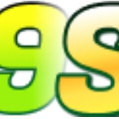 99Sl dev's profile picture