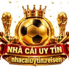 nhacaiuytin reisen's profile picture