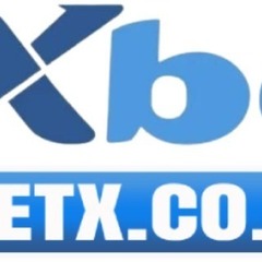 8Xbet  co com's profile picture