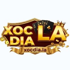 Xocdia La's profile picture