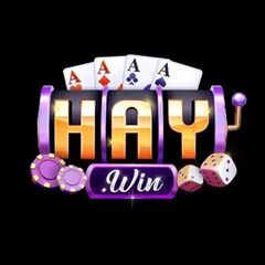 Haywin Games's profile picture