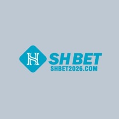 Shbet2026 com's profile picture