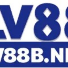 Lv88 bnet's profile picture