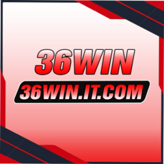 36winit com's profile picture