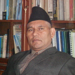 Madhav Koirala, PhD's profile picture