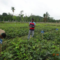 Sushan Chowhan's profile picture