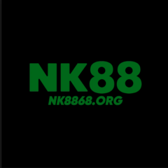 Nk8868 org's profile picture
