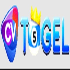 cvto gel's profile picture