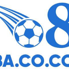 o8aco com's profile picture