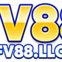 FV88 llc's profile picture