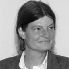 Micha Strack's profile picture