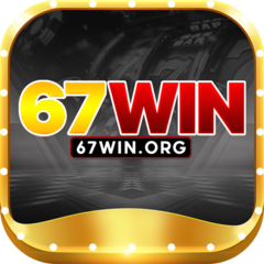 67win org's profile picture