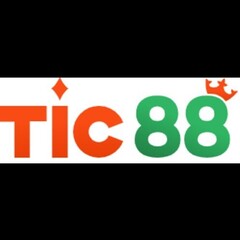 TIC88 art's profile picture