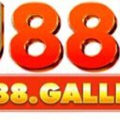 U888 gallery's profile picture