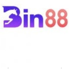 Bin88 llc's profile picture