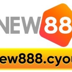 New888  cyou's profile picture