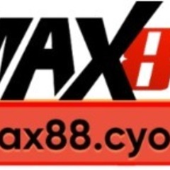 Max88  cyou's profile picture