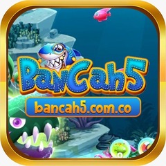Bancah5 comco's profile picture