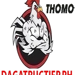 da ga truc tiep ph's profile picture