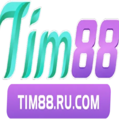 Tim88ru  com's profile picture