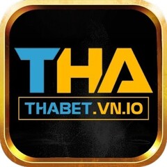Thabet Vnio's profile picture