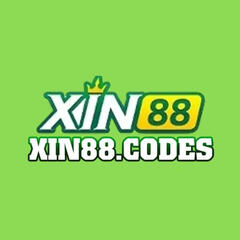 Xin88  Codes's profile picture
