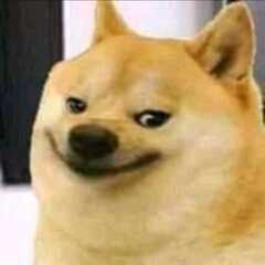 give me my  payment 's profile picture
