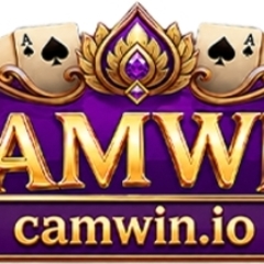 CAMWIN  Game's profile picture