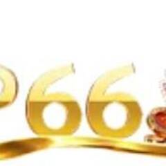 VIP666  UK COM's profile picture