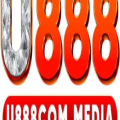 U888com  media's profile picture