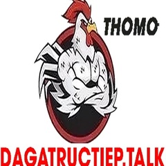dagatruc tiep talk's profile picture
