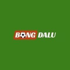 Bongdalu guru's profile picture