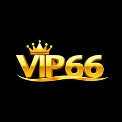 Vip66  Coach's profile picture