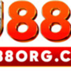 U8 88's profile picture