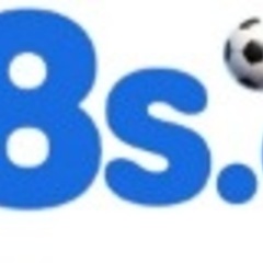 8S8S org's profile picture