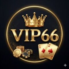 Nha Vip66's profile picture