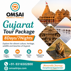 Complete Gujarat Tour and Travel  Package with Trip Details 's profile picture