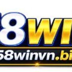 58Winvn  biz's profile picture